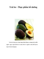 Trái bơ - Thực phẩm bổ dưỡng pot