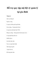 Hỗ trợ quy tập mộ liệt sỹ quản lý tại gia đình pptx