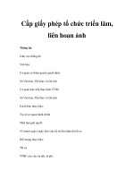 Cấp giấy phép tổ chức triển lãm, liên hoan ảnh ppsx