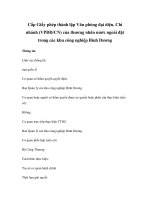 Cấp Giấy phép thành lập Văn phòng đại diện, Chi nhánh (VPĐD/CN) của thương nhân nước ngoài đặt trong các khu công nghiệp Bình Dương ppsx