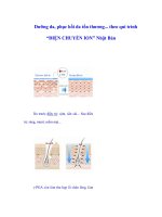 Dưỡng da, phục hồi da tổn thương... theo qui trình “ĐIỆN CHUYỂN ION” Nhật Bản pps