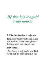 Hệ tiêu hóa ở người (ruột non-2) pot