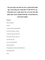 Cấp Giấy phép công diễn cho đơn vị nghệ thuật thành lập và hoạt động theo Nghị định 73/1999/NĐ-CP của Chính phủ; đơn vị nghệ thuật, đơn vị tổ chức biểu diễn nghệ thuật chuyên nghiệp thành lập và hoạt động theo luật doanh nghiệp docx