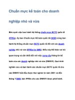 Chuẩn mực kế toán cho doanh nghiệp nhỏ và vừa pot