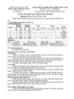 Bao cao thang 2/2010