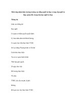 Thôi công nhận hiệu trưởng trường cao đẳng nghề tư thục; trung cấp nghề tư thục; giám đốc trung tâm dạy nghề tư thục pdf