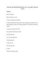 Hoãn hoặc miễn chấp hành quyết định đưa vào cơ sở dạy nghề và giải quyết việc làm doc