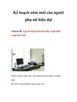 Kế hoạch năm mới của người phụ nữ hiện đại pdf