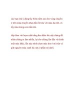 Colorization - Chuyển ảnh đen trắng về ảnh màu- P3 pot