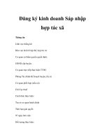 Đăng ký kinh doanh Sáp nhập hợp tác xã pot