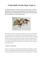 13 loại thuốc từ thảo dược và gia vị doc