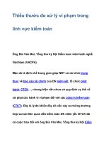 Thiếu thước đo xử lý vi phạm trong lĩnh vực kiểm toán ppsx