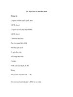 Xác nhận đơn xin mua huyệt mã potx