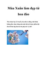 Mùa Xuân làm đẹp từ hoa đào ppsx