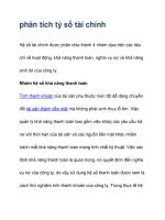 phân tích tỷ số tài chính ppsx