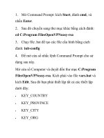 Thiết lập OpenVPN trên DD-WRT Router- P2 pot