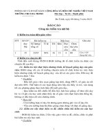 BC Kiểm tra nội bộ 5-2010