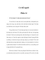 Cơ thể người - Phần 14 - Kỹ thuật CT chẩn đoán bệnh như thế nào? pptx