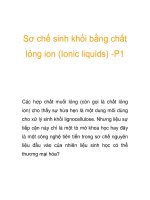 Sơ chế sinh khối bằng chất lỏng ion (Ionic liquids) -P1 ppsx