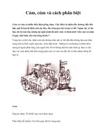 Cảm, cúm và cách phân biệt pptx