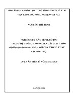 Nghiên cứu sâu bệnh, cỏ dại trong hệ thống trồng xen cây mạch môn (Ophiopogon japonicus Wall.) với cây trồng khác tại tỉnh Phú Thọ