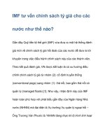 IMF tư vấn chính sách tỷ giá cho các nước như thế nào? pot