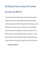 Hệ thống kế toán trong môi trường thương mại điện tử pptx