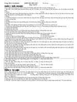 Kiểm tra HKI (Vật lí 9 - đề 01)