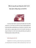 Điều trị ung thư gan bằng hóa chất TACE hoặc phá u bằng sóng cao tần RFA doc