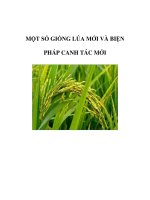 MỘT SỐ GIỐNG LÚA MỚI VÀ BIỆN PHÁP CANH TÁC MỚI doc