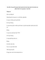 Sửa đổi, bổ sung Giấy phép kinh doanh bán buôn (hoặc đại lý bán buôn) sản phẩm thuốc lá trong phạm vi một tỉnh doc