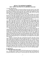 Báo cáo kinh nghiem đội ngũ GV