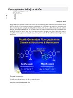 fluoroquinolon thế hệ ba và bốn