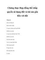 Chứng thực Hợp đồng thế chấp quyền sử dụng đất và tài sản gắn liền với đất docx