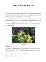 Đông y trị chảy máu mũi ppt