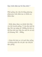 Quy trình nhân tạo bò (thụ tinh) ? docx