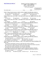 Đề tham khảo TNTHPT Anh_2010 số 3