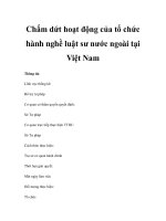 Chấm dứt hoạt động của tổ chức hành nghề luật sư nước ngoài tại Việt Nam pot