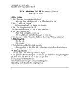 VAN 7 - DE - MT - DA