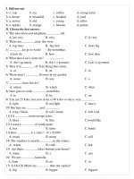 đề thi HKII môn anh văn - 6 (very hay)