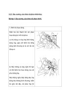 Bộ phun xăng Điện tử - EFI part 29 pps