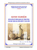 SKKN Mỹ thuật tiểu học