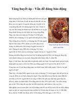 Tăng huyết áp - Vấn đề đáng báo động ppsx