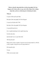 Thẩm tra cấp giấy chứng nhận đầu tư tại Khu công nghiệp Việt NamSingapore đối với dự án đầu tư có quy mô từ 300 tỷ đồng trở lên và không thuộc lĩnh vực đầu tư có điều kiện gắn với thành lập chi nhánh pps