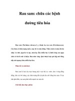 Rau sam: chữa các bệnh đường tiêu hóa pps