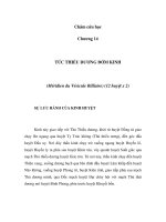 Châm cứu học - Chương 13 - THỦ THIẾU DƯƠNG TAM TIÊU KINH pptx