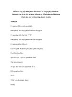 Thẩm tra cấp giấy chứng nhận đầu tư tại Khu công nghiệp Việt NamSingapore cho dự án đầu tư thuộc thẩm quyền chấp thuận của Thủ tướng Chính phủ gắn với thành lập công ty cổ phần docx