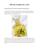 Dầu hạt cải giúp bảo vệ tim docx