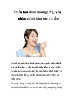 Thiếu hụt dinh dưỡng: Nguyên nhân chính làm tóc hư tổn pot