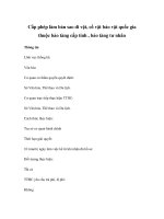 Cấp phép làm bản sao di vật, cổ vật bảo vật quốc gia thuộc bảo tàng cấp tỉnh , bảo tàng tư nhân pptx